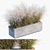 Flowering Miscanthus: Yard & Outdoor Plant 3D model small image 1
