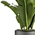 Exotic Greenery in Concrete Pot 3D model small image 2