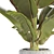 Exotic Flowerpot Plant: Tropical Elegance 3D model small image 2