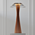 Adam Tihany Space Lamp 3D model small image 2