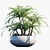 Evergreen Potted Plant #25: Lush & Low-Maintenance 3D model small image 3