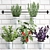 Kitchen Rail with Exotic Plants 3D model small image 1