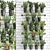 Vertical Greenery Collection: Rosemary, Tomato, Basil 3D model small image 1