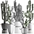 Exotic Cacti Collection 3D model small image 3