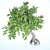 Green Tree - Beautiful Exterior Scene 3D model small image 1