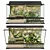 Luxurious Terrarium with Hercules Beetle and Red-Eyed Tree Frog 3D model small image 1
