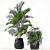 Botanical Oasis: 195 Plant Collection 3D model small image 2