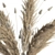 Natural Pampas Grass Bouquet 3D model small image 2