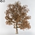 Autumn Tree Broadleaf: Burst of Colors! 3D model small image 1