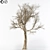 Aatumn Twigs: Leafless Beauty 3D model small image 1