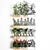 Vertical Garden: Exotic Plants for Kitchen Décor 3D model small image 3