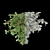 Lush Raspberry Bushes - Premium Quality 3D model small image 2