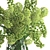 Lush Green Fritillaria & Viburnum Bouquet 3D model small image 2