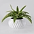 Fresh Aloe in Ceramic Pot 3D model small image 1