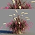 Pennisetum advena rubrum: Vibrant Ornamental Grass Model + Render in 3Ds Max & FBX 3D model small image 5