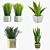 Green Oasis: Potted Houseplants 3D model small image 1