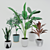 Modern Potted Plant Set 3D model small image 1