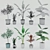 Modern Potted Plant Set 3D model small image 2