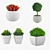 Green Oasis: 5 Potted Houseplants 3D model small image 1