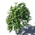 Serene Rowanberry 3D Model 3D model small image 3