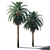  Exquisite 3D Date Palm 3D model small image 3