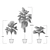 Versatile Washingtonia Robusta Palm Set 3D model small image 3