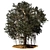 Eternal Serenity: Banyan Tree 3D model small image 1