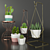 Designer's Indoor Plant Collection 3D model small image 1
