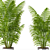 Exotic Areca Howeia Palms 3D model small image 2