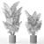 Exotic Areca Howeia Palms 3D model small image 3
