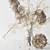 Ethereal Blooms: Lunaria, Pampas Grass & Hydrangea 3D model small image 2