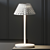Elegant Mesh Table Lamp 3D model small image 1