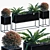 Outdoor Plant in Pots #30 3D model small image 1