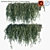 Vernonia Elliptica: Stunning Curtain Creeper! 3D model small image 1