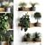 Vertical Oasis: Houseplant Collection with Decorative Shelf 3D model small image 1