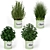 Lush Greenery: 202 Plant Collection 3D model small image 2