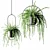 Black Hanging Flower Pots with Ampel Plants 3D model small image 2