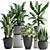 Exotic Houseplant Collection 3D model small image 1