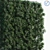 Evergreen Yew Plum Pine Hedge 3D model small image 2