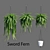 Vertex Color: High Poly Sword Fern 3D model small image 1