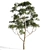 Eucalyptus 7 - Vibrant Variations 3D model small image 5