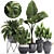 Exotic Plant Collection: Alocasia, Palm Grass, Bromelia & More 3D model small image 1