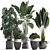 Tropical Plant Collection: Exotic Houseplants 3D model small image 1