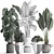 Tropical Plant Collection: Exotic Houseplants 3D model small image 3