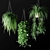 Natural Charm: Hanging Wicker Planter with Lush Plants 3D model small image 1