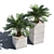 Lifelike Cycas Palm Tree 3D model small image 1