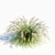 Elegant Miscanthus Sinensis Grass 3D model small image 2