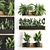 Exotic Plant Collection: Vertical Gardens & Houseplants 3D model small image 1