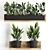 Exotic Plant Collection: Vertical Gardens & Houseplants 3D model small image 2