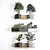 Exotic Vertical Garden Kit 3D model small image 3